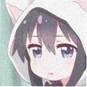 书友南窗听雨的头像